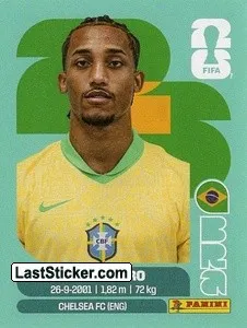 BRA16