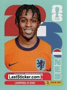 NED8