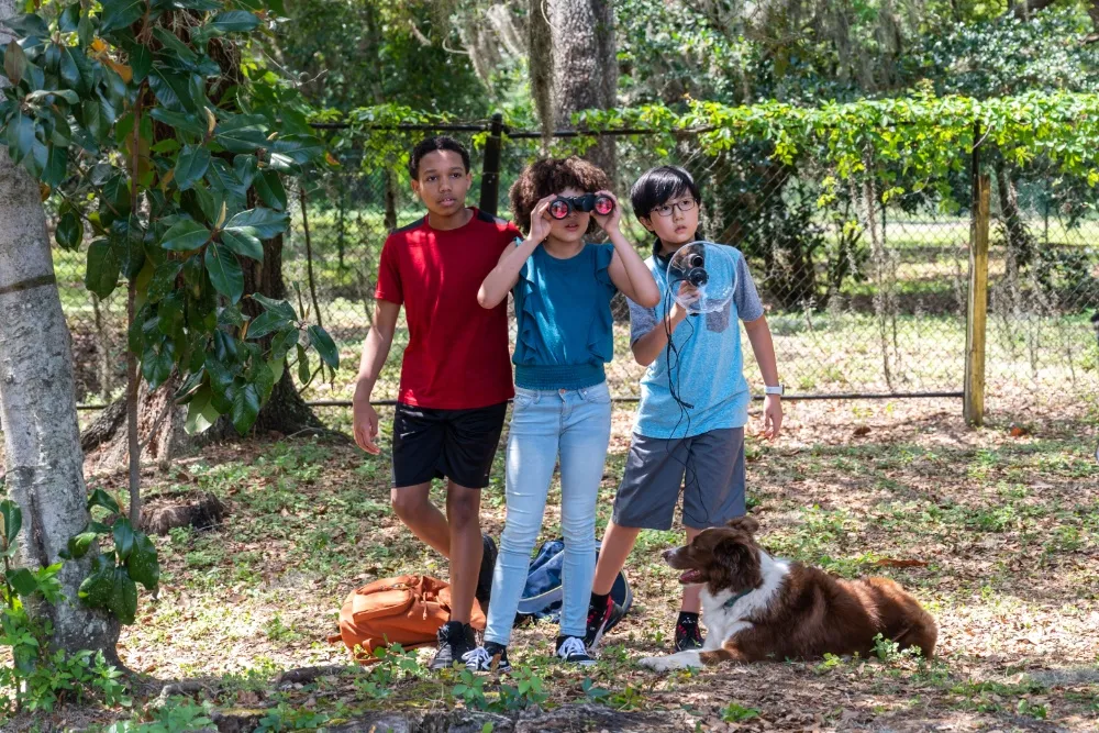 Plaion e Shout! Studios Juntam-se para Descrever o Mistério da Família "Detectives de Pets"