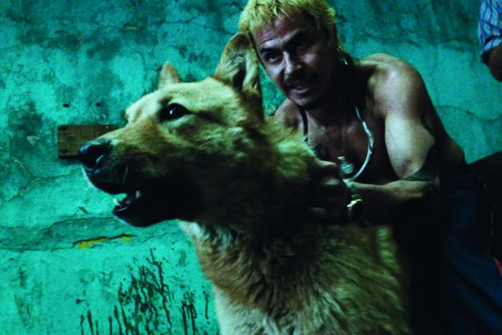 Alejandro G. Iñárritu Lança Livro Comemorativo de "Amores Perros"