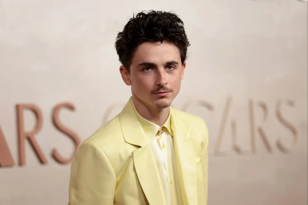 Timothée Chalamet Receberá Homenagem nos Prêmios David di Donatello