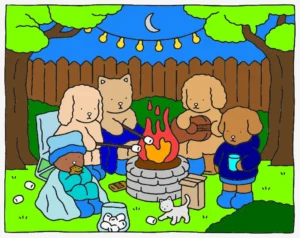 noite do acampamento 1753289588