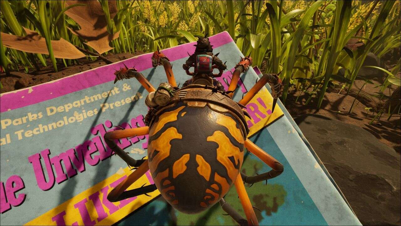 4537318 orbweaverbuggy2