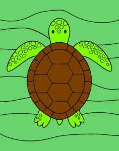 minha tartaruga colorida 3 1755098110
