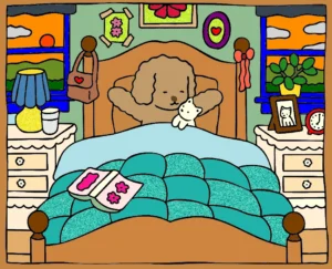 aconchego 1757011104