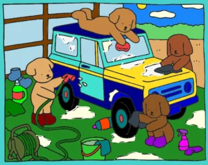 pawlla lavando o carro 1758912695