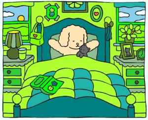 voide cauan 1758047461