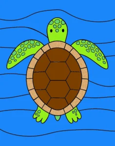 tortugida 1760488221