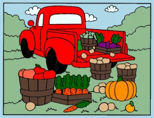 verduras legumes 1762793523