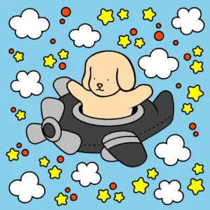 no meu aviaozinho 1765299554