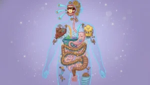 Uma fábrica mágica e divertida dentro do corpo humano onde a comida entra, passa por um caldeirão borbulhante e viaja por uma longa esteira onde luzes brilhantes de nutrientes são extraídas!