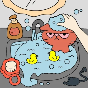 gato banho 1769186926