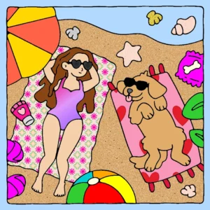 sol a mar 1769863065