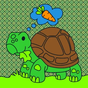 tartaruga 1771246989