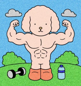 boby goods 1773766140