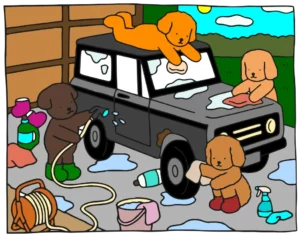 lavando carro 1776699319