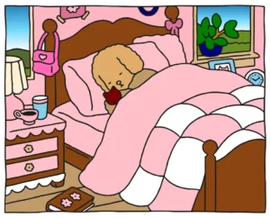 Meu quarto preferido