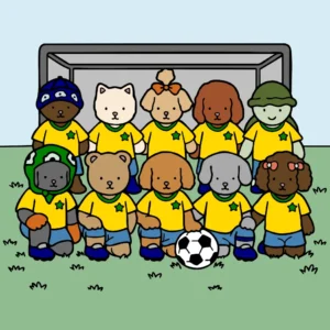 Seleção Bobbileira