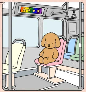 Andando de ônibus 🚍