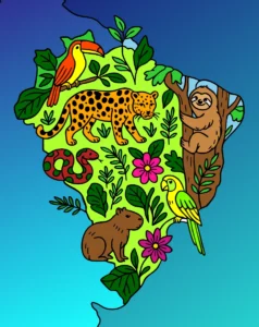Nosso Brasil colorido
