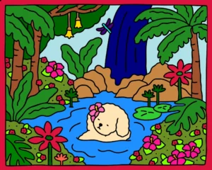 banho