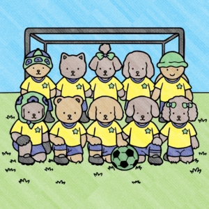 copa 2026 1782410557