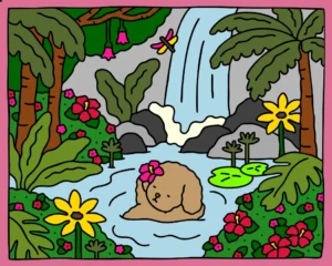 Dia de Cachoeira