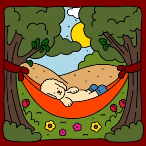 Descansando na Rede