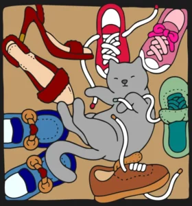 Gatinho com Sapatos
