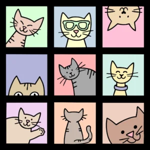Gatinhos Fofinhos