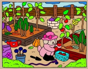 meu bob colorido