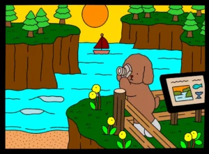 meu bob colorido