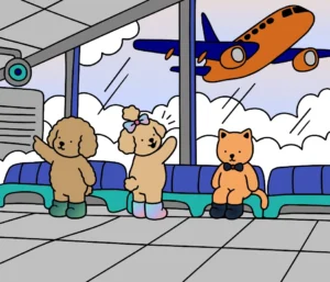 Passeando no Aeroporto