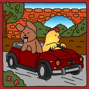 Passeio de Pets