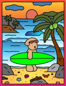 Pôr do Sol com Surf