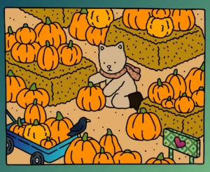 Pumpkins harvest