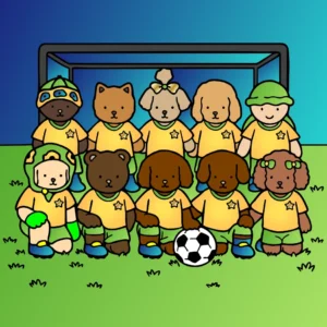 Seleção Brasileira dos BG