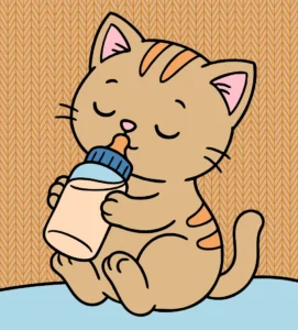 Gatinho Bebê