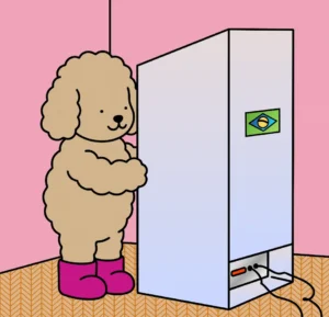 Hora de Votar