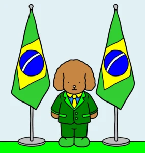 meu brasil brasileiro