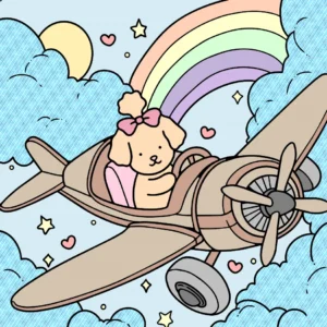 aviação