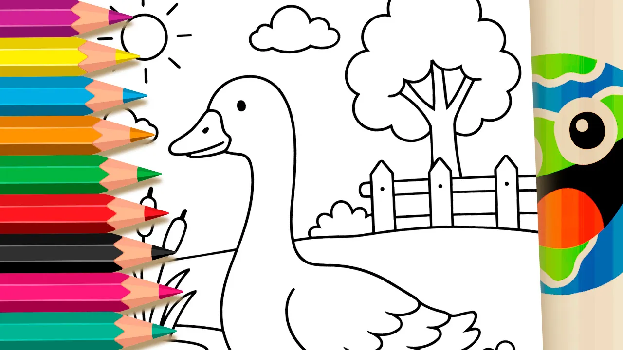Pato no Lago - Desenho para imprimir e colorir