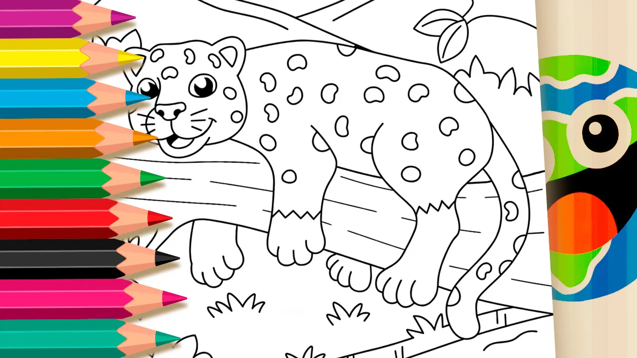 Filhote de Onça-Pintada - Desenho para imprimir e colorir