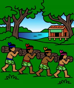 Pau Brasil