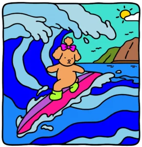 Surfista